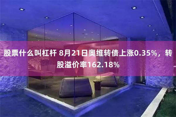 股票什么叫杠杆 8月21日奥维转债上涨0.35%，转股溢价率162.18%